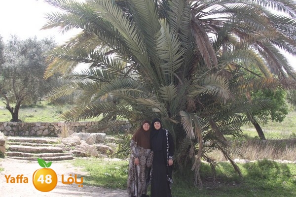 3emwas 0319 (64).JPG